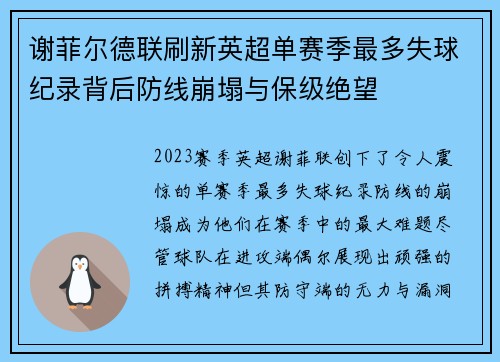 谢菲尔德联刷新英超单赛季最多失球纪录背后防线崩塌与保级绝望 谢菲尔德联刷新英超单赛季最多失球纪录背后防线崩塌与保级绝望